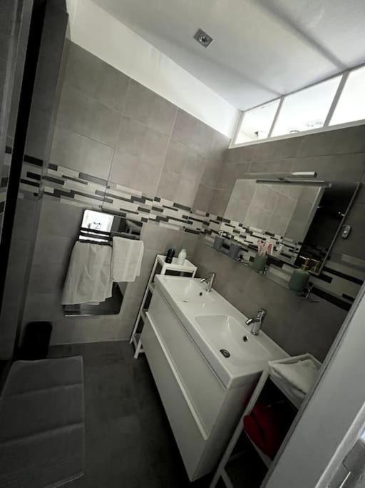 Appartement F5 Maison De Maitre Mulhouse Buitenkant foto