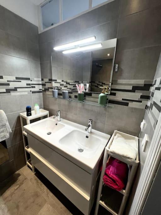 Appartement F5 Maison De Maitre Mulhouse Buitenkant foto