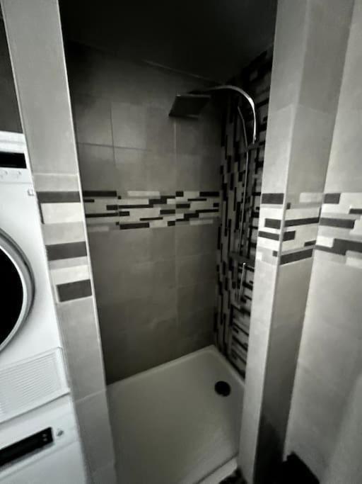Appartement F5 Maison De Maitre Mulhouse Buitenkant foto