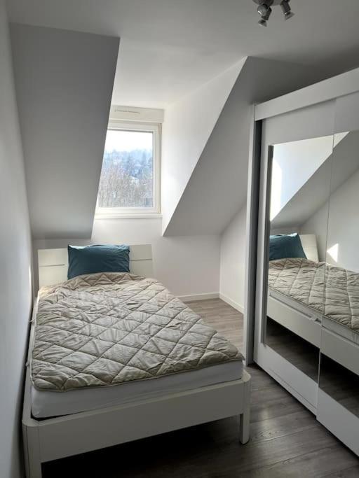 Appartement F5 Maison De Maitre Mulhouse Buitenkant foto