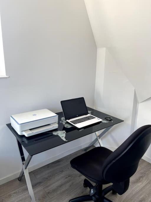 Appartement F5 Maison De Maitre Mulhouse Buitenkant foto