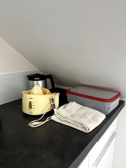 Appartement F5 Maison De Maitre Mulhouse Buitenkant foto