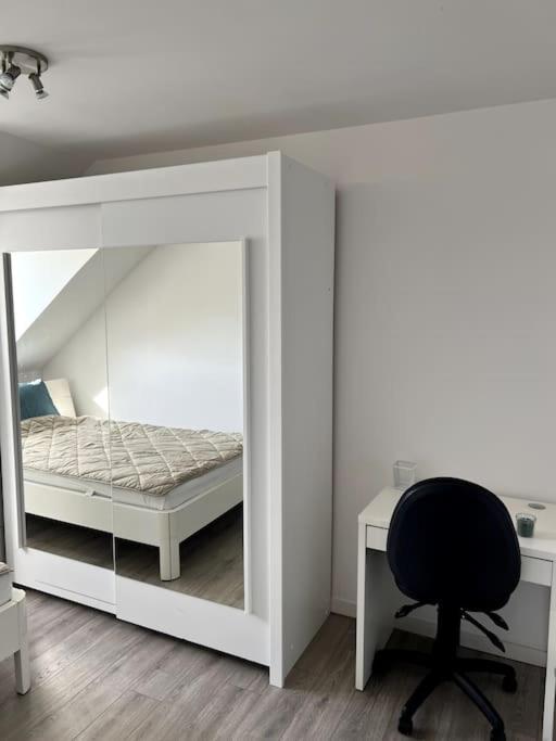 Appartement F5 Maison De Maitre Mulhouse Buitenkant foto