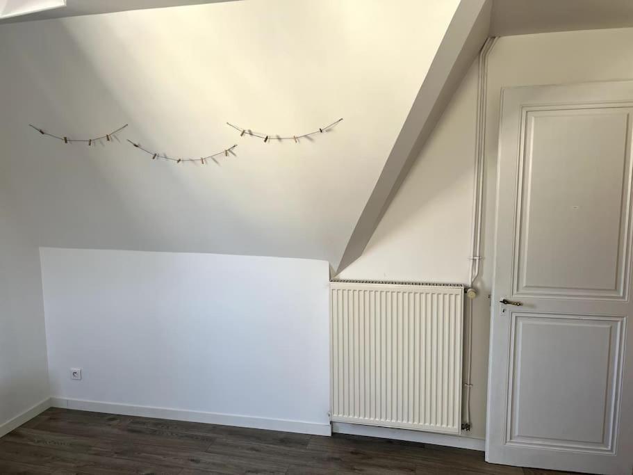 Appartement F5 Maison De Maitre Mulhouse Buitenkant foto