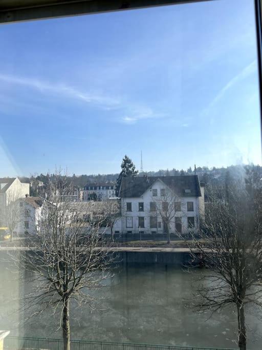 Appartement F5 Maison De Maitre Mulhouse Buitenkant foto