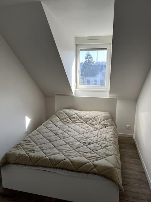 Appartement F5 Maison De Maitre Mulhouse Buitenkant foto