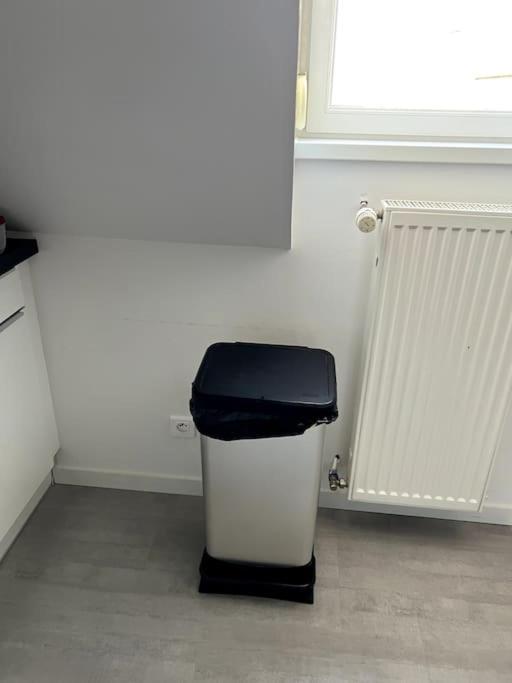 Appartement F5 Maison De Maitre Mulhouse Buitenkant foto