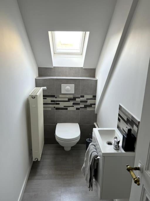 Appartement F5 Maison De Maitre Mulhouse Buitenkant foto