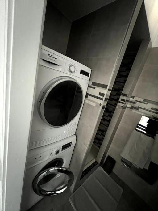 Appartement F5 Maison De Maitre Mulhouse Buitenkant foto